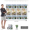 Buy Estate agent backlit window display